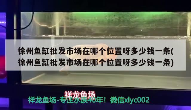 徐州鱼缸批发市场在哪个位置呀多少钱一条(徐州鱼缸批发市场在哪个位置呀多少钱一条)