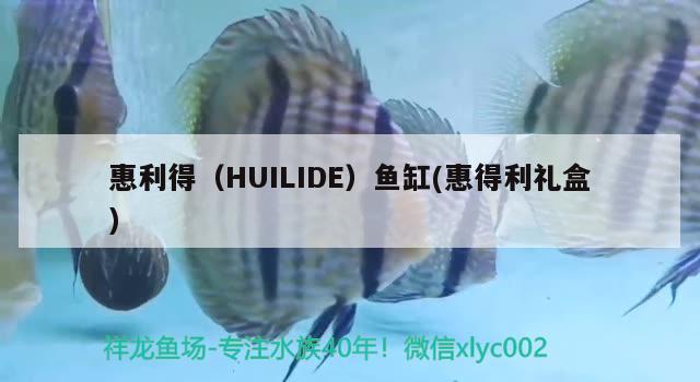 惠利得（HUILIDE）鱼缸(惠得利礼盒) 其他品牌鱼缸