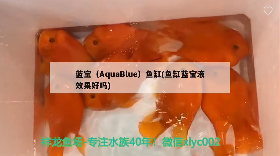 蓝宝（AquaBlue）鱼缸(鱼缸蓝宝液效果好吗)