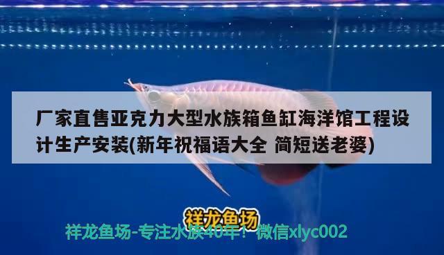 厂家直售亚克力大型水族箱鱼缸海洋馆工程设计生产安装(新年祝福语大全简短送老婆) 鱼缸/水族箱