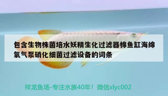 包含生物株菌培水妖精生化过滤器棉鱼缸海绵氧气泵硝化细菌过滤设备的词条