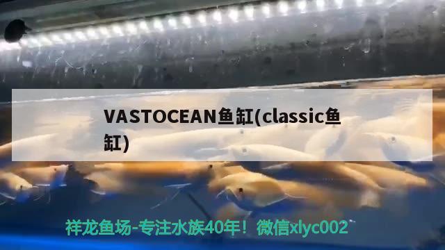 VASTOCEAN鱼缸(classic鱼缸)