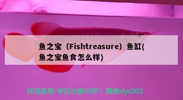 鱼之宝（Fishtreasure）鱼缸(鱼之宝鱼食怎么样) 其他品牌鱼缸