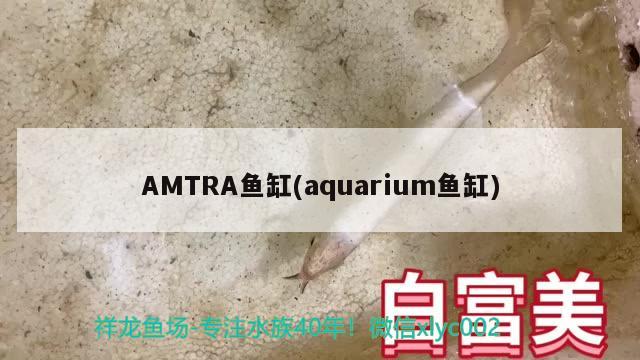 AMTRA鱼缸(aquarium鱼缸)