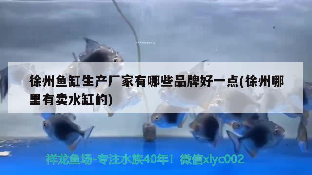 徐州鱼缸生产厂家有哪些品牌好一点(徐州哪里有卖水缸的) 定时器/自控系统