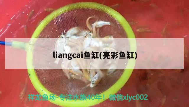 liangcai鱼缸(亮彩鱼缸) 其他品牌鱼缸