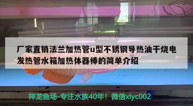 厂家直销法兰加热管u型不锈钢导热油干烧电发热管水箱加热体器棒的简单介绍 水草