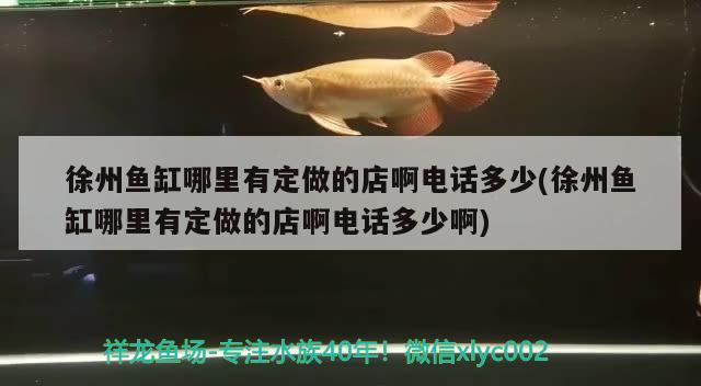 徐州鱼缸哪里有定做的店啊电话多少(徐州鱼缸哪里有定做的店啊电话多少啊) PH调节剂