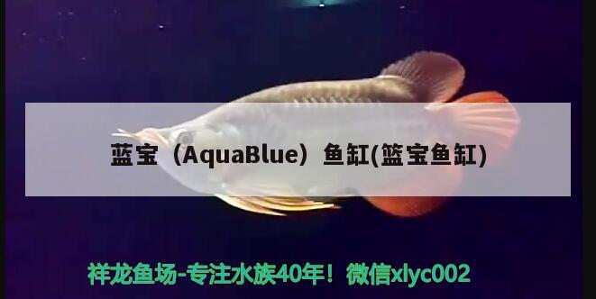 蓝宝（AquaBlue）鱼缸(篮宝鱼缸)