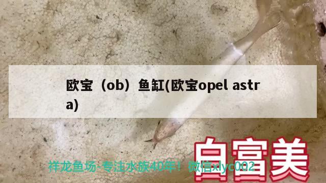 欧宝（ob）鱼缸(欧宝opelastra) 垂钓乐园