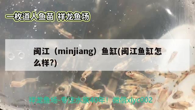 闽江（minjiang）鱼缸(闽江鱼缸怎么样?) 其他品牌鱼缸 第2张