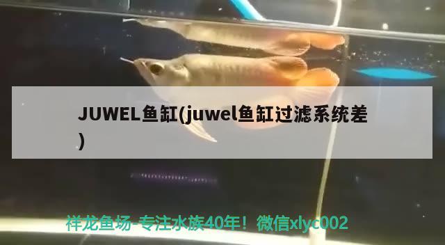 JUWEL鱼缸(juwel鱼缸过滤系统差) 其他品牌鱼缸