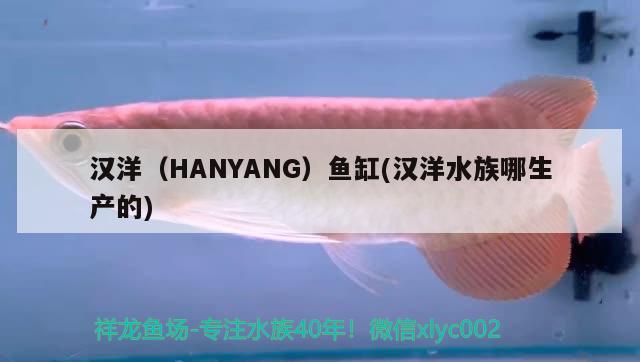 汉洋（HANYANG）鱼缸(汉洋水族哪生产的) 其他品牌鱼缸