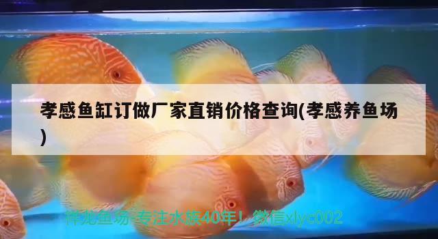 孝感鱼缸订做厂家直销价格查询(孝感养鱼场) 水族杂谈