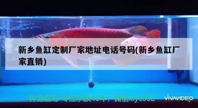 新乡鱼缸定制厂家地址电话号码(新乡鱼缸厂家直销) 祥龙水族滤材/器材