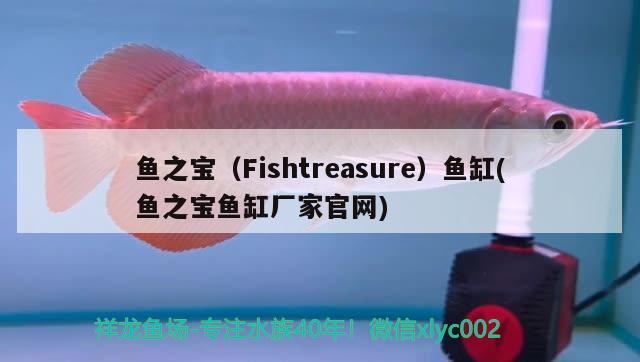 鱼之宝（Fishtreasure）鱼缸(鱼之宝鱼缸厂家官网)