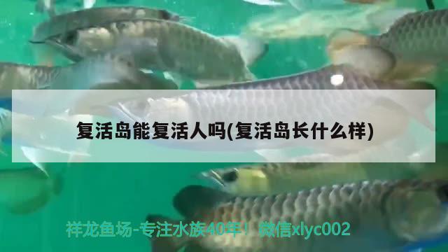 复活岛能复活人吗(复活岛长什么样) 观赏鱼