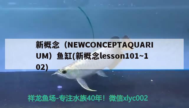 新概念（NEWCONCEPTAQUARIUM）鱼缸(新概念lesson101～102)