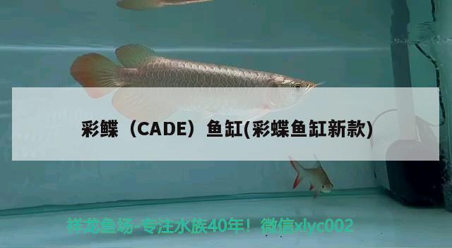 彩鲽（CADE）鱼缸(彩蝶鱼缸新款) 其他品牌鱼缸