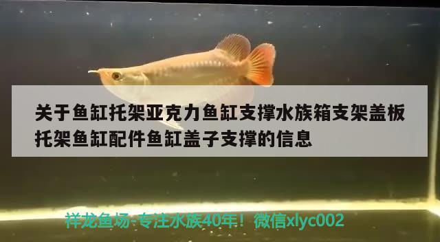 关于鱼缸托架亚克力鱼缸支撑水族箱支架盖板托架鱼缸配件鱼缸盖子支撑的信息 鱼缸/水族箱