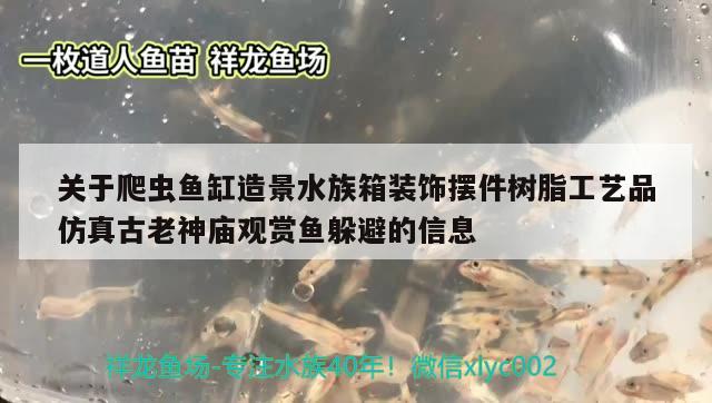 关于爬虫鱼缸造景水族箱装饰摆件树脂工艺品仿真古老神庙观赏鱼躲避的信息 鱼缸/水族箱