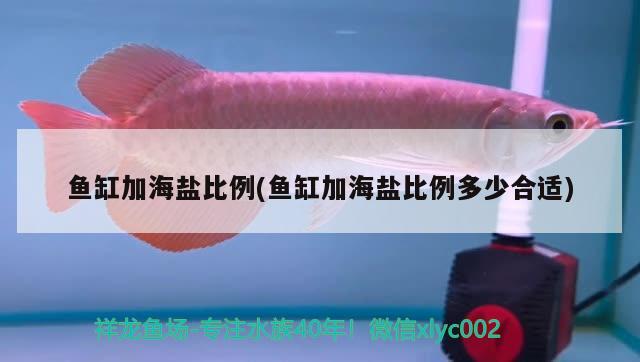 鱼缸加海盐比例(鱼缸加海盐比例多少合适) 鱼缸净水剂