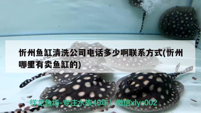 忻州鱼缸清洗公司电话多少啊联系方式(忻州哪里有卖鱼缸的)