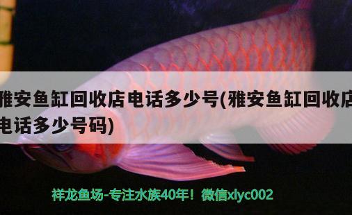 雅安鱼缸回收店电话多少号(雅安鱼缸回收店电话多少号码) 广州水族器材滤材批发市场 第2张