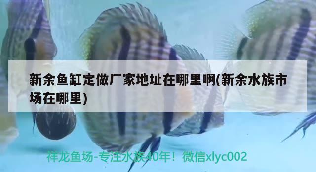 新余鱼缸定做厂家地址在哪里啊(新余水族市场在哪里) 水族维护服务（上门）