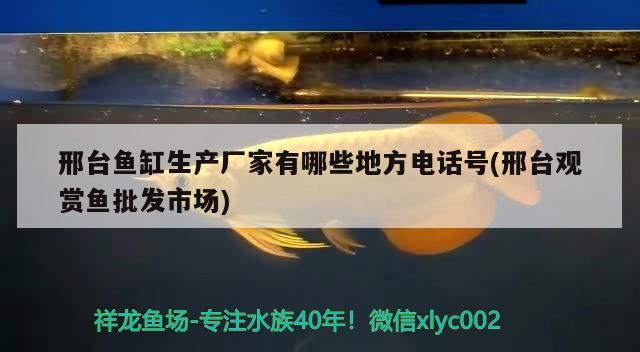 邢台鱼缸生产厂家有哪些地方电话号(邢台观赏鱼批发市场) 观赏鱼批发