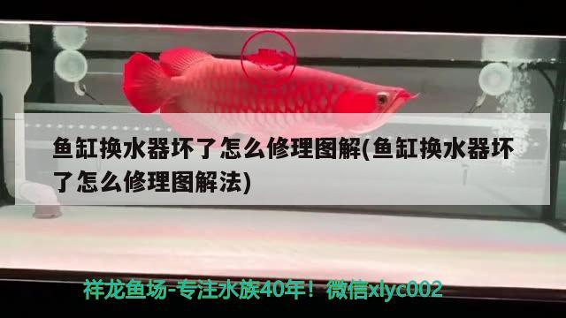 鱼缸换水器坏了怎么修理图解(鱼缸换水器坏了怎么修理图解法) 祥龙水族医院