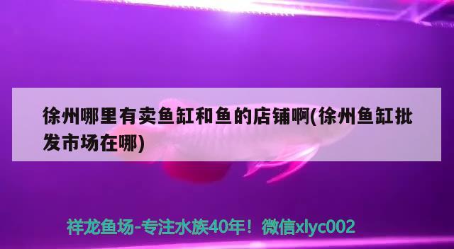 徐州哪里有卖鱼缸和鱼的店铺啊(徐州鱼缸批发市场在哪) 充氧泵