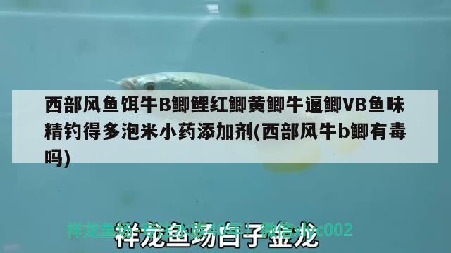 西部风鱼饵牛B鲫鲤红鲫黄鲫牛逼鲫VB鱼味精钓得多泡米小药添加剂(西部风牛b鲫有毒吗) 垂钓乐园