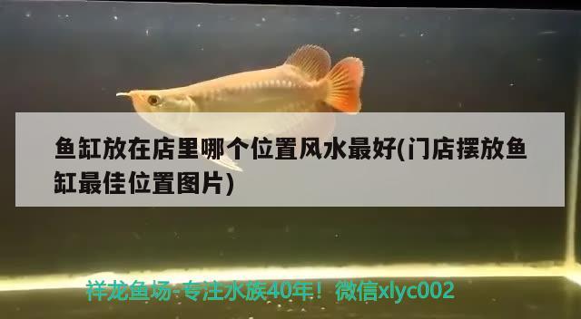 鱼缸放在店里哪个位置风水最好(门店摆放鱼缸最佳位置图片) 鱼缸风水