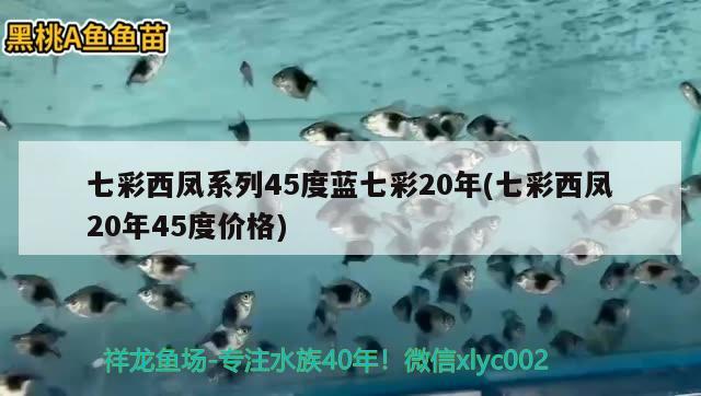 七彩西凤系列45度蓝七彩20年(七彩西凤20年45度价格) 观赏鱼