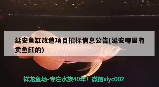 延安鱼缸改造项目招标信息公告(延安哪里有卖鱼缸的) 鱼缸净水剂