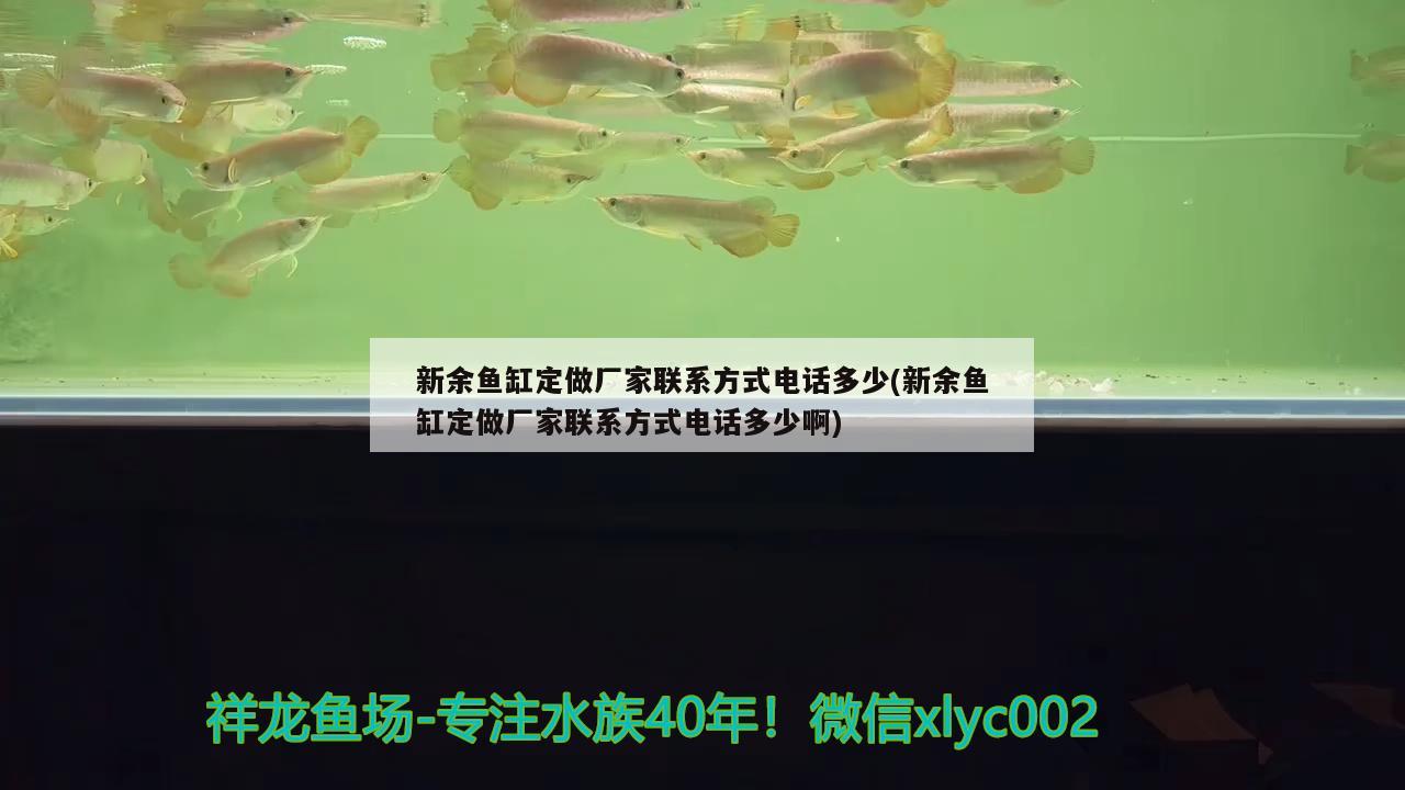 新余鱼缸定做厂家联系方式电话多少(新余鱼缸定做厂家联系方式电话多少啊)