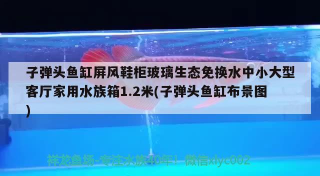 子弹头鱼缸屏风鞋柜玻璃生态免换水中小大型客厅家用水族箱1.2米(子弹头鱼缸布景图)