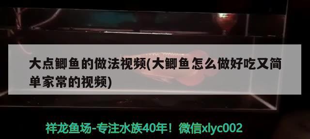 大点鲫鱼的做法视频(大鲫鱼怎么做好吃又简单家常的视频)