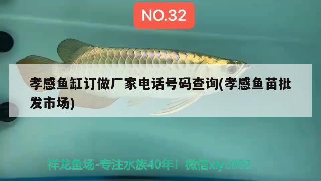 孝感鱼缸订做厂家电话号码查询(孝感鱼苗批发市场) 七彩神仙鱼