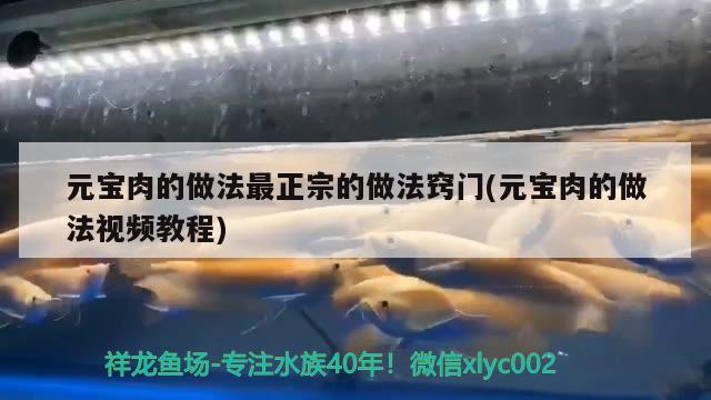 元宝肉的做法最正宗的做法窍门(元宝肉的做法视频教程) 观赏鱼