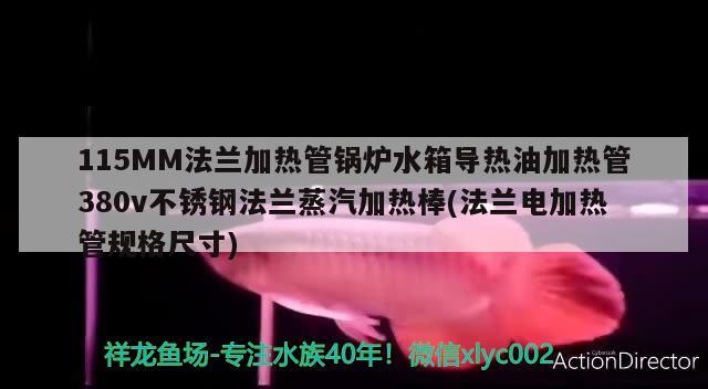 115MM法兰加热管锅炉水箱导热油加热管380v不锈钢法兰蒸汽加热棒(法兰电加热管规格尺寸) 黄金达摩鱼