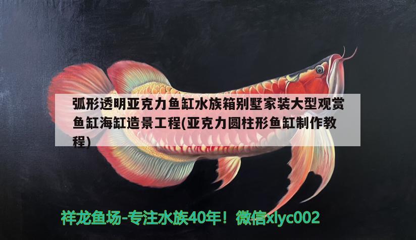 弧形透明亚克力鱼缸水族箱别墅家装大型观赏鱼缸海缸造景工程(亚克力圆柱形鱼缸制作教程)