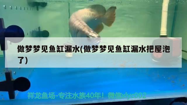 做梦梦见鱼缸漏水(做梦梦见鱼缸漏水把屋泡了)