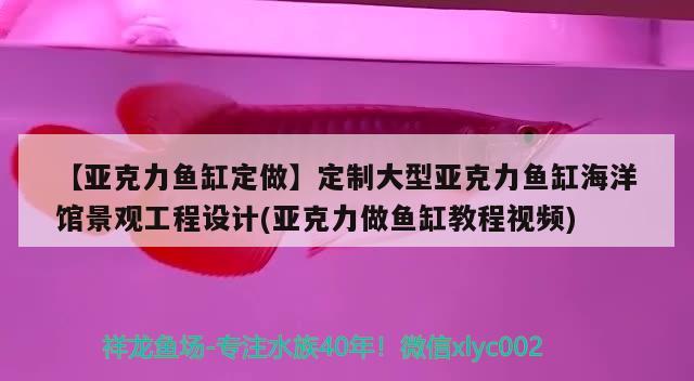 【亚克力鱼缸定做】定制大型亚克力鱼缸海洋馆景观工程设计(亚克力做鱼缸教程视频)