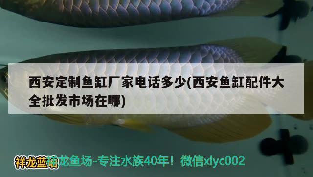 西安定制鱼缸厂家电话多少(西安鱼缸配件大全批发市场在哪) 祥龙龙鱼专用水族灯