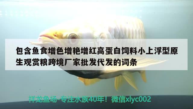 包含鱼食增色增艳增红高蛋白饲料小上浮型原生观赏粮跨境厂家批发代发的词条