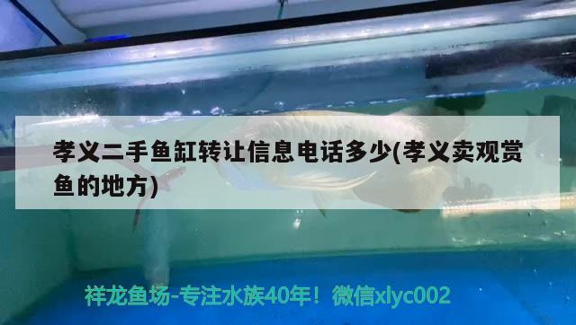 孝义二手鱼缸转让信息电话多少(孝义卖观赏鱼的地方) 锦鲤池鱼池建设