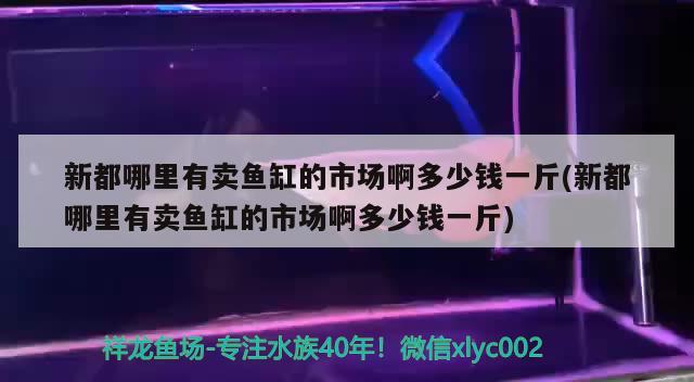 新都哪里有卖鱼缸的市场啊多少钱一斤(新都哪里有卖鱼缸的市场啊多少钱一斤) 鱼缸净水剂