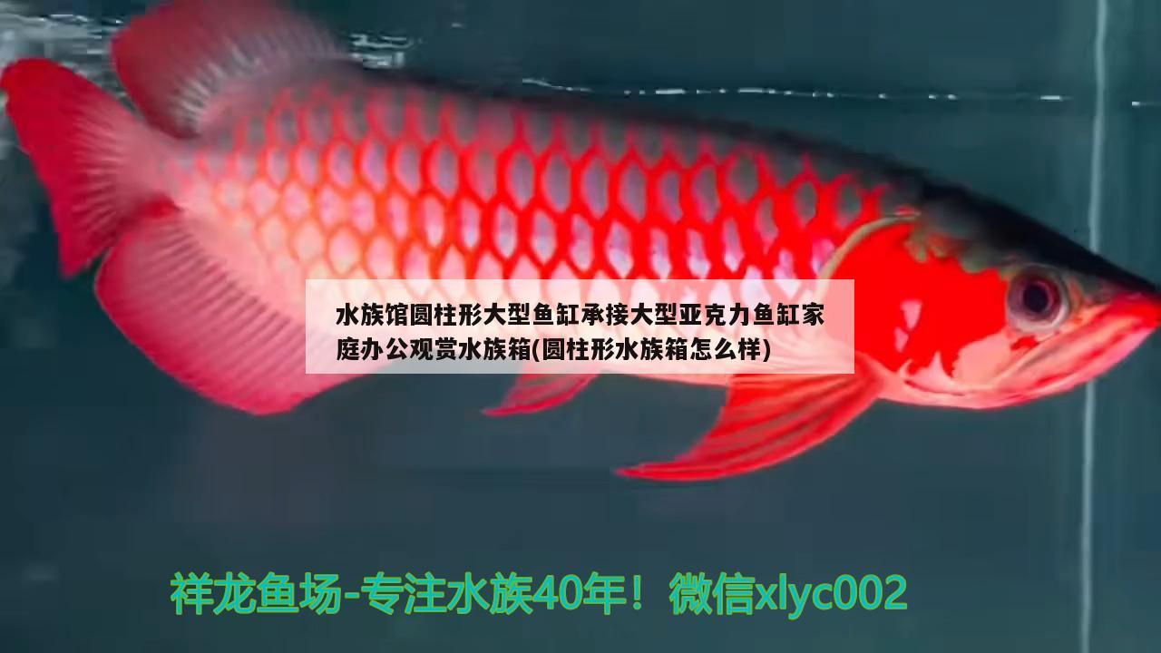 水族馆圆柱形大型鱼缸承接大型亚克力鱼缸家庭办公观赏水族箱(圆柱形水族箱怎么样) 鱼缸/水族箱 第4张